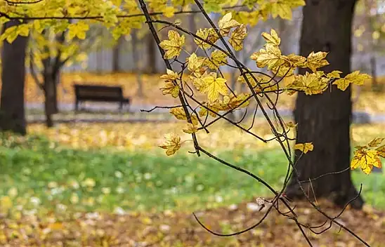 Pastırma sıcakları ne zaman? Pastırma yazı hangi ayda, kaç gün sürecek? Pastırma sıcakları geçti mi?