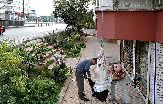 Sokakta kurban kesip, atıklarını gömenlere ağır ceza!