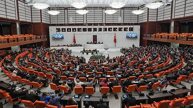 10 soruda TBMM'de kabul edilen sahipsiz hayvanlara yönelik düzenleme