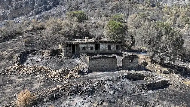 15 bin dönümden fazla alan küle döndü