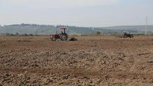 150 dekarlık alanda yapay mera kuruluyor