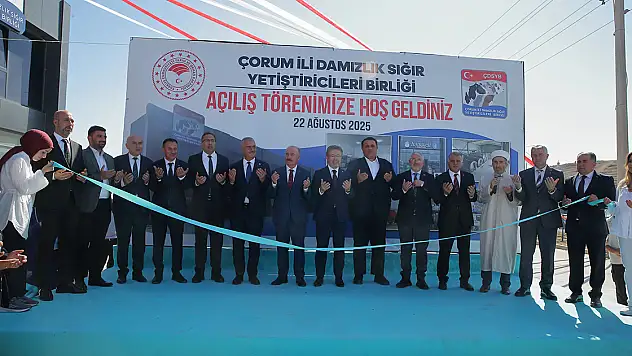 17 ilde hayvan pazarları açılacak!