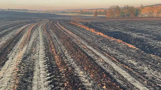 2 bin 500 dönüm ekili alan ve 200 adet arı kovanı yandı