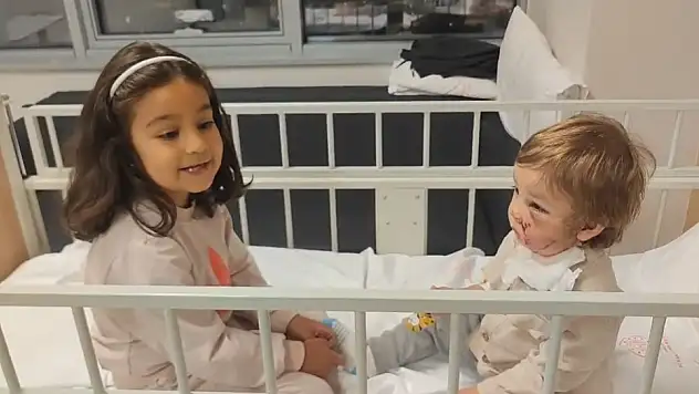 2 kardeşi yaralayan köpeğin sahibinin savunması şaşırttı!