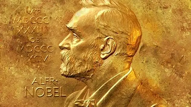 2024 Nobel Tıp Ödülü'nün sahibi belli oldu