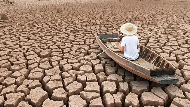 2024'te 41 gün daha fazla tehlikeli sıcaklık seviyesine ulaşıldı