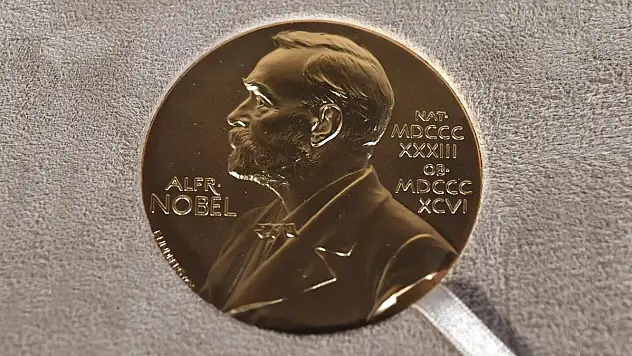 2025 Nobel Tıp Ödülü'nün sahibi belli oldu