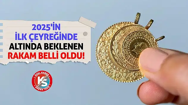 2025'in İlk Çeyreğinde Altında Beklenen Rakam Belli Oldu!