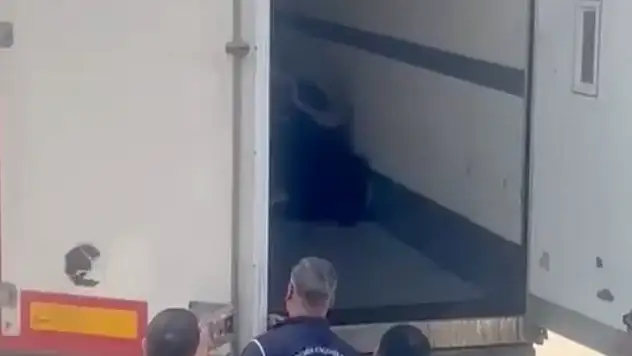 24 düzensiz göçmen yakalandı