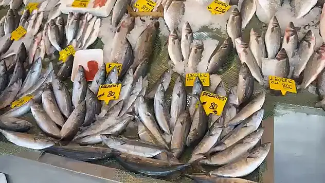 25 sene önceki bolluk sevindirdi: Balık yiyin çağrısı geldi!