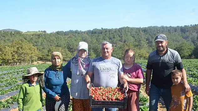 25 yıl yaptıkları işi yürütemediler, son çare olarak bunu buldular