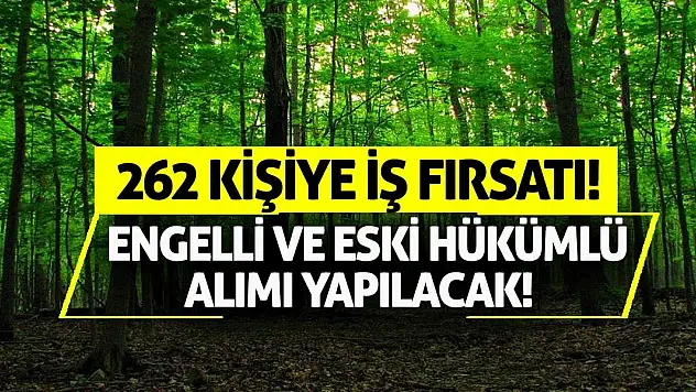 262 kişiye iş fırsatı: Engelli ve eski hükümlü alımı yapılacak!