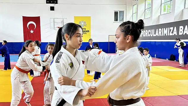 3 ayda 4 madalya! Konyalı judocu Avrupa'nın zirvesine çıktı