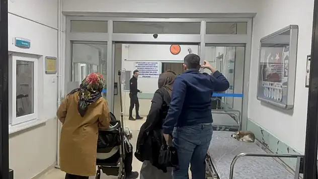 3 ilde yüzlerce kişi hastanelere koştu!