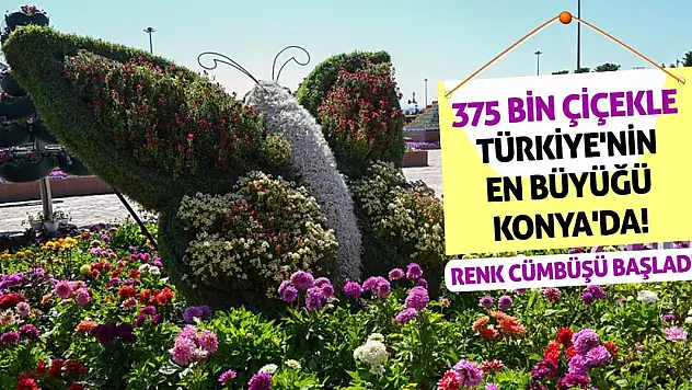 375 Bin Çiçekle Türkiye'nin En Büyüğü Konya'da! Renk Cümbüşü Başladı!