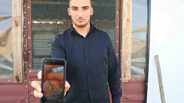 4 ayaklı olarak yumurtadan çıkan güvercin yavrusu 2 gün yaşayabildi