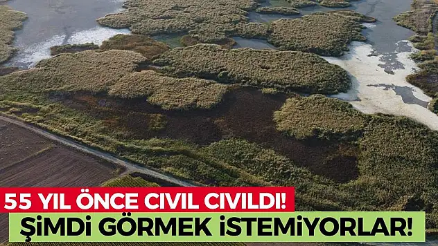55 yıl önce cıvıl cıvıldı! Şimdi görmek istemiyorlar!
