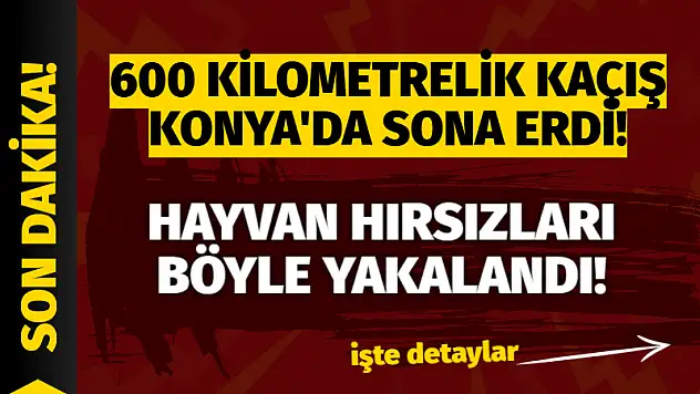 600 Kilometrelik Kaçış Konya'da Sona Erdi! Hayvan Hırsızları Böyle Yakalandı!