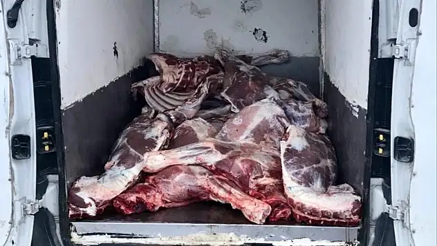 6,1 ton kaçak ve bozulmuş hayvansal ürün ele geçirildi!