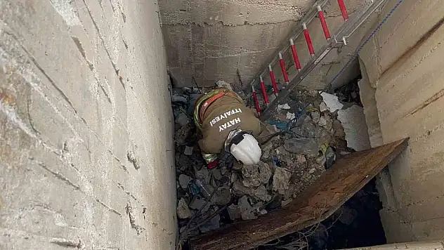 7 metrelik su kuyusuna düşen kediyi itfaiye kurtardı