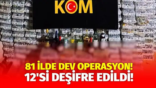 81 ilde dev operasyon! 12'si deşifre edildi!