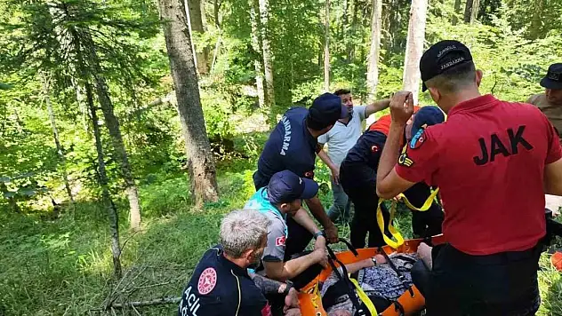 9 gündür kayıp olarak aranan kadın, ormanlık alanda bulundu