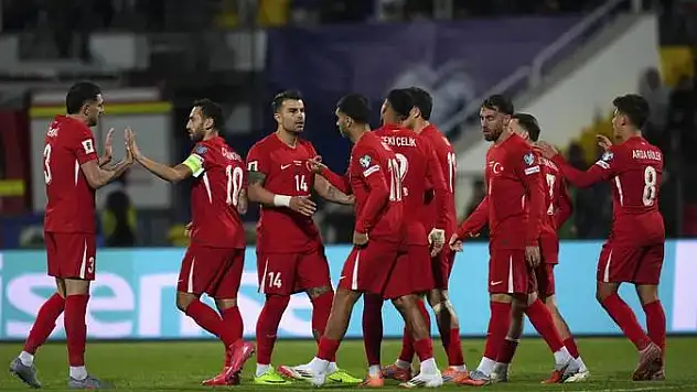 A Milliler, Dünya Kupası Yolunda Kritik Virajda