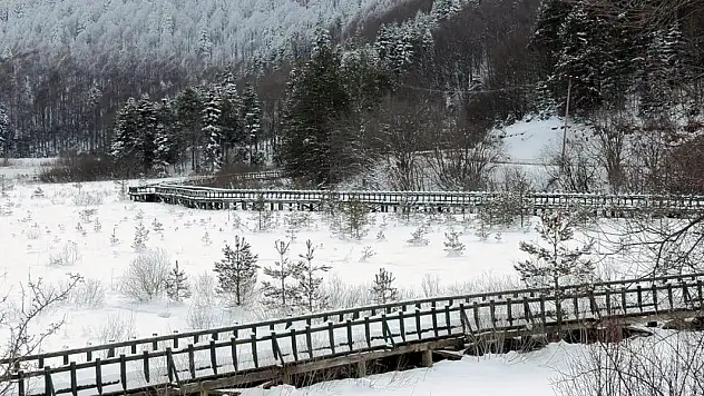 Abant Gölü buz tuttu