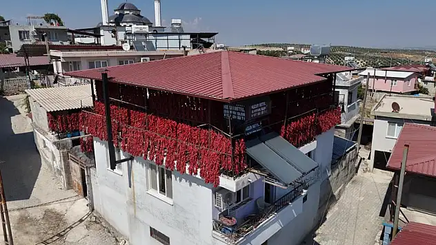 Acı biberler, mahalledeki balkonları kırmızıya bürüdü