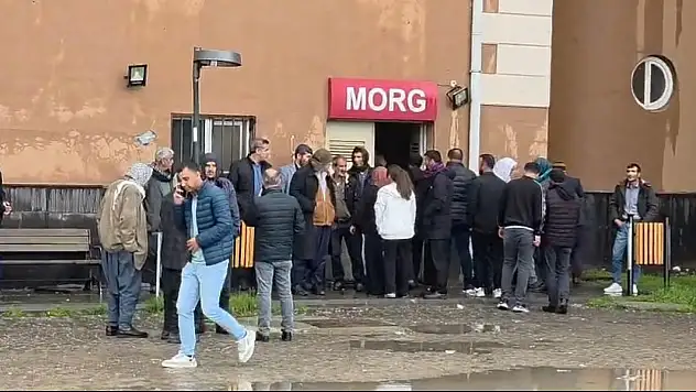 Ağaca yıldırım isabet etti: 2 çocuk öldü, biri yaralı!