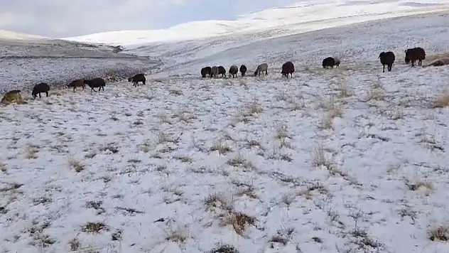 Ağrı'da kış kapıya dayandı