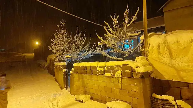Ahlat'ta kar yağışı