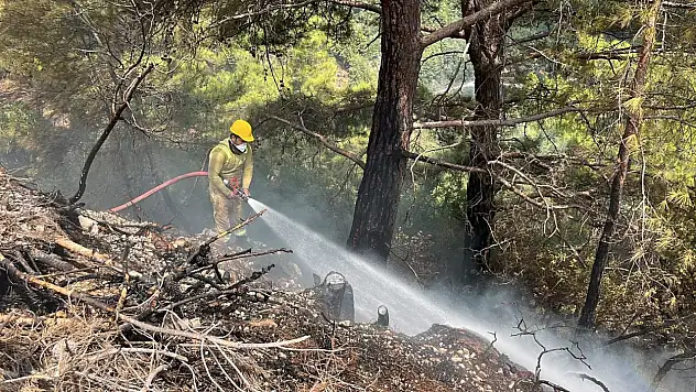Alanya'da ormanlık alan yangını büyümeden kontrol altına alındı