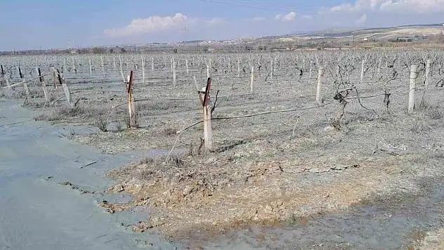 Alaşehir'de üzüm bağı içinde korkutan patlama