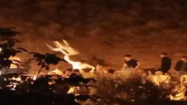 Alkol kavgasında gelin ve damat tarafı birbirine girdi