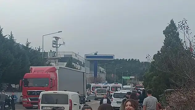 Amonyaktan zehirlendiler