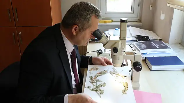 Anadolu'nun bitki zenginliği geleceğe taşınıyor