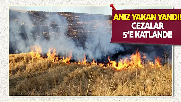 Anız Yakan Yandı! Cezalar 5'e Katlandı!