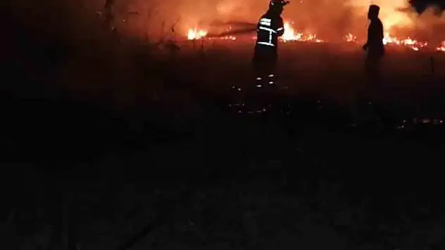 Anız yangını! 30 dönümlük alan kül oldu