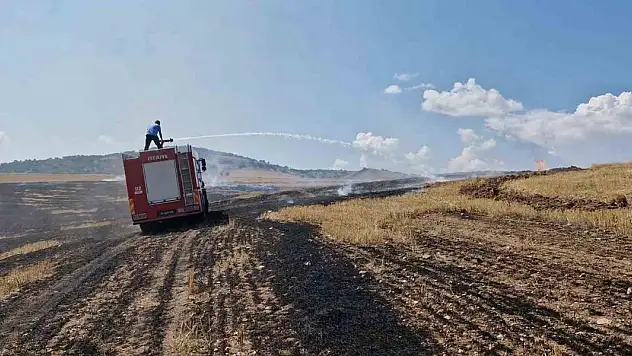 Anız yangını ormanlık alana sıçramadan söndürüldü