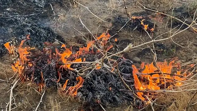 Anız yangını paniğe yol açtı! Alevler evlere yaklaştı