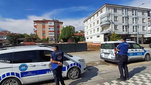 Ankara'da kaçan dana yaşlı kadını yaraladı