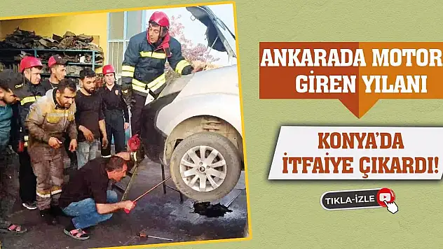 Ankara'da Motora Giren Yılanı Konya'da İtfaiye Çıkardı!