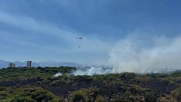 Antalya ve Çanakkale'deki yangınlar kontrol altına alındı