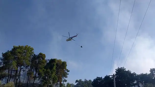 Antalya'da orman yangını kontrol altına alındı