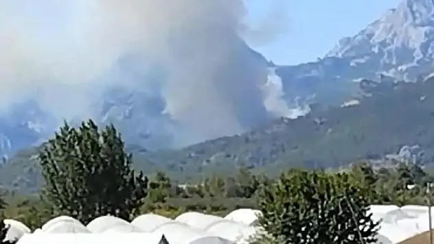 Antalya'da ormanlık alanda yangın