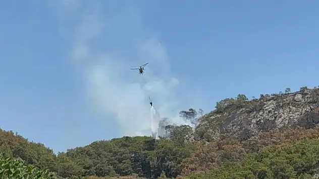 Antalya'daki orman yangınlarında 52 hektarlık alan zarar gördü