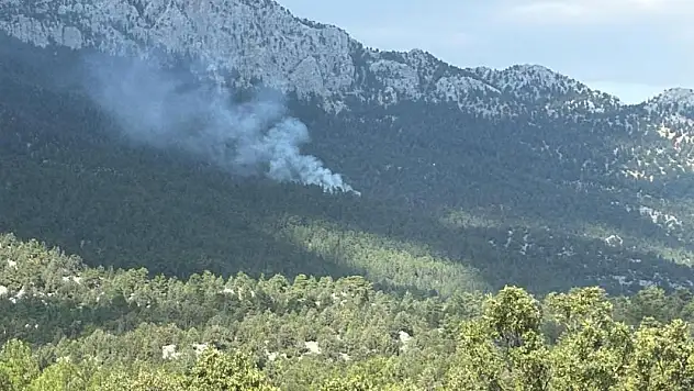 Antalya'nın Akseki ilçesinde orman yangını
