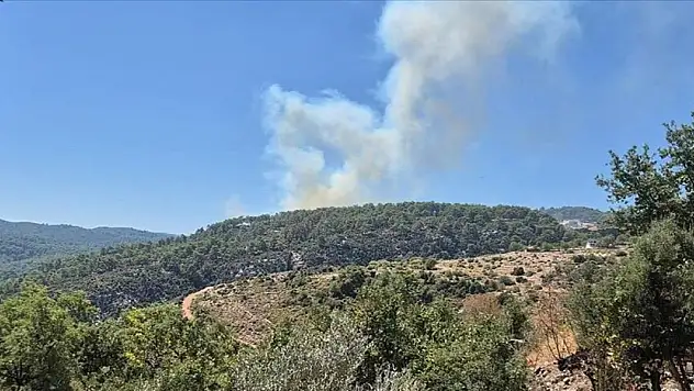 Antalya'nın Kaş ilçesinde orman yangını çıktı