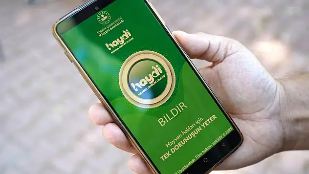 Araçla hayvana çarpıp kaçmanın cezası 10 bin 385 TL